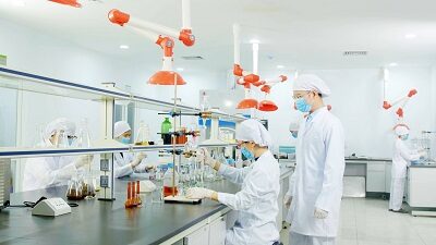 Xây dựng tiêu chuẩn kiểm nghiệm dược liệu Mộc Hương tại nhà máy Anvy