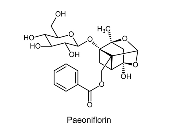 Hoạt chất Paeoniflorin