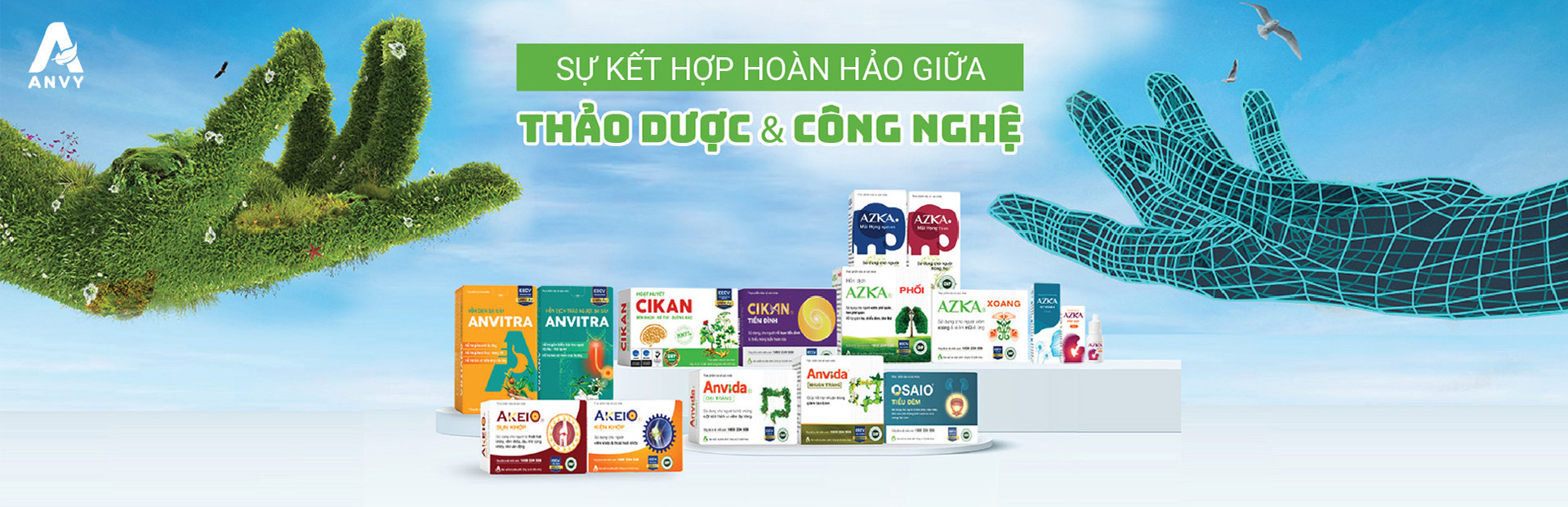 Công ty cổ phần Anvy