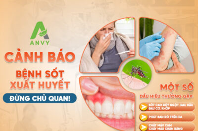 Cảnh báo về bệnh sốt xuất huyết – Cùng Anvy phòng tránh ngay hôm nay